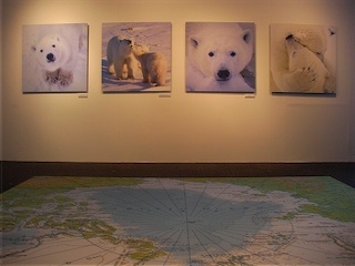 写真家リサ・ヴォートさんの写真展「北極からの贈りもの」